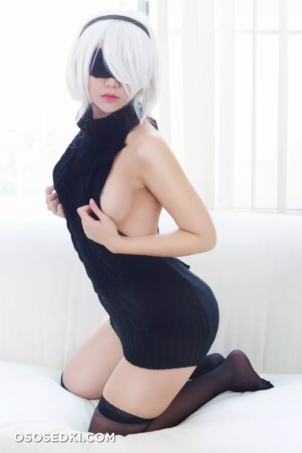 2B (Neir Automata) - 2