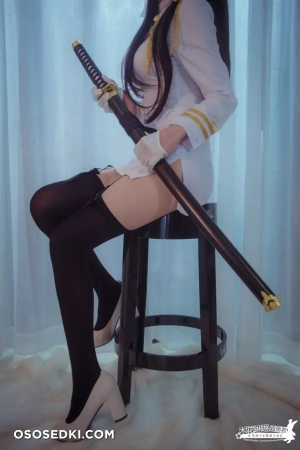 【木花琳琳是勇者】Azur Lane-Atago - 2