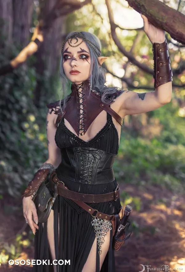 Genevieve. The Mage Of Valenwood - 1