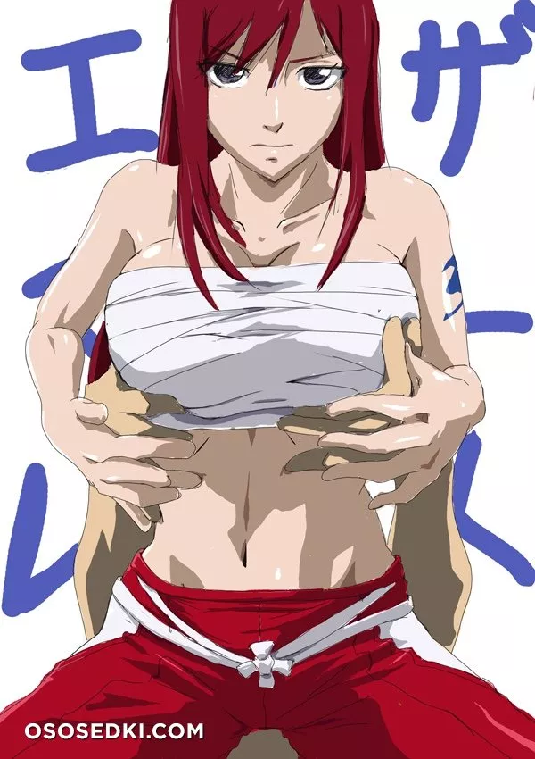 Fairy Tail - Erza Scarlet - 2