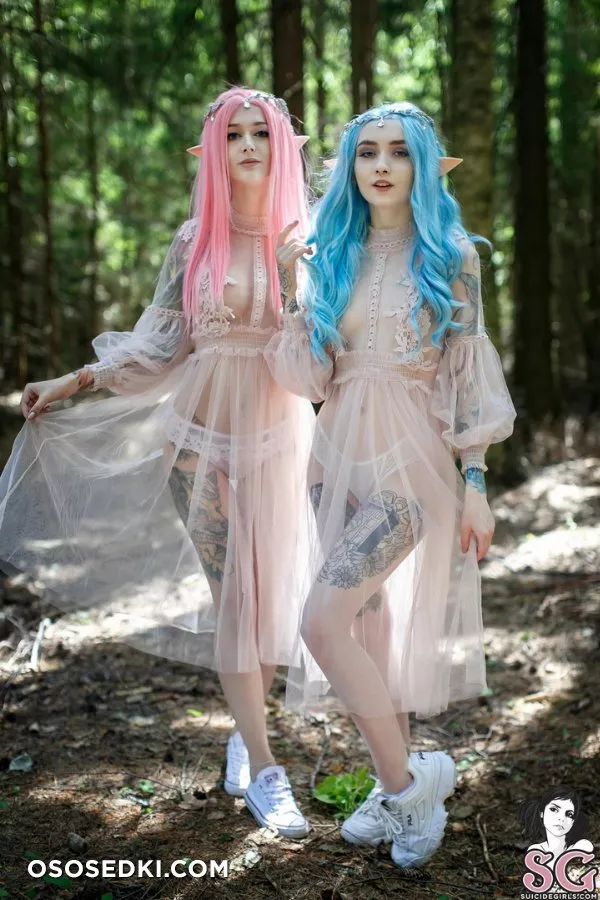 Elven Forest by Purple Bitch &amp; zirael_rem - 1