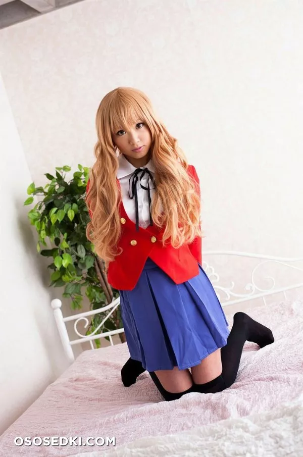 Taiga Aisaka  - 2
