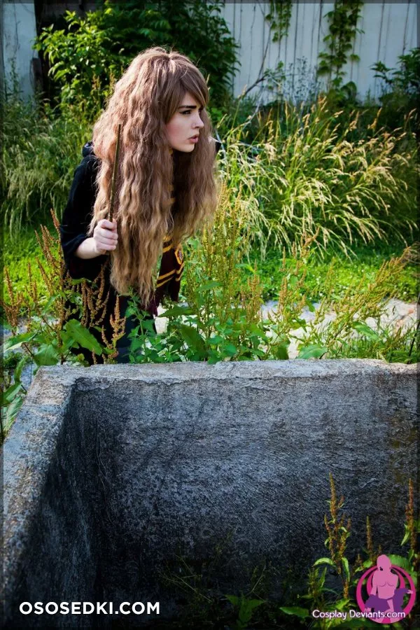 Hermione Granger (Harry Potter)  - 2