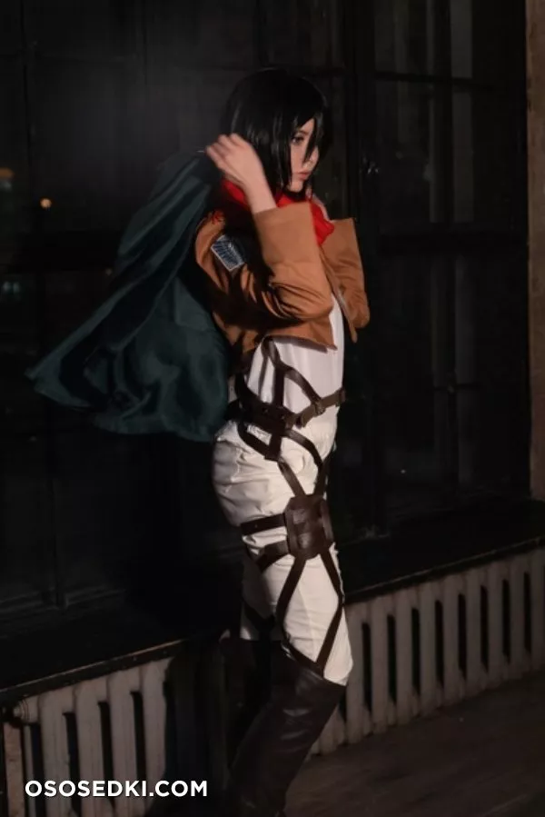Mikasa Ackerman by Vinnegal - 2